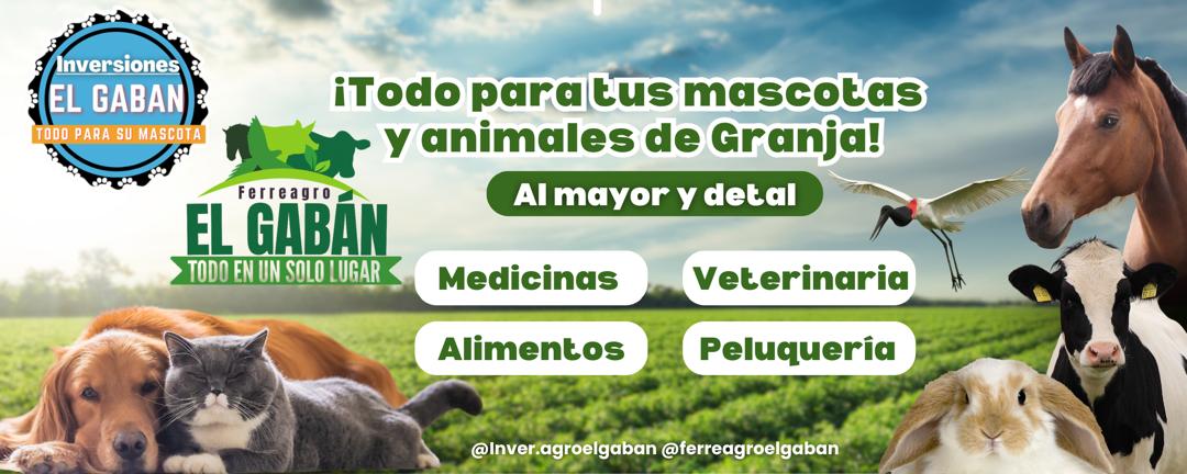 Interior Ferre Agro El Gabán